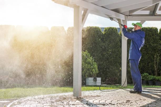 Best Soft Washing for Delicate Surfaces in Rafter J Ranch, WY